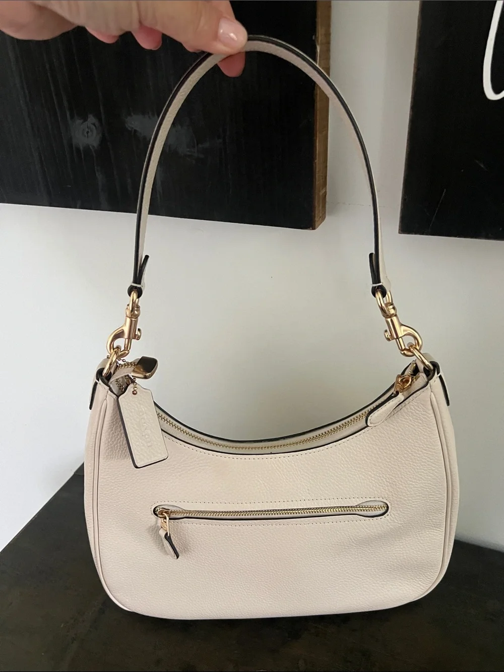 Teri Hobo Bag